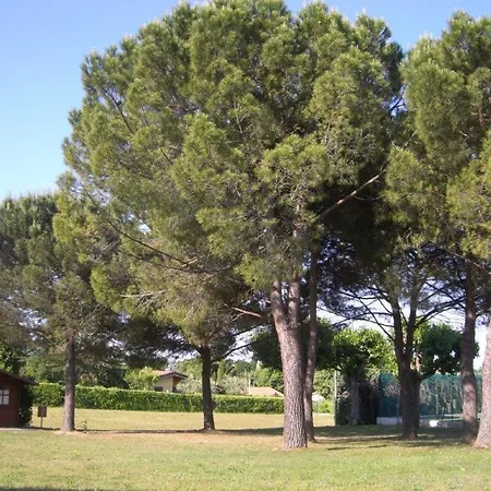 Ca Olivo * Μπαρντολίνο